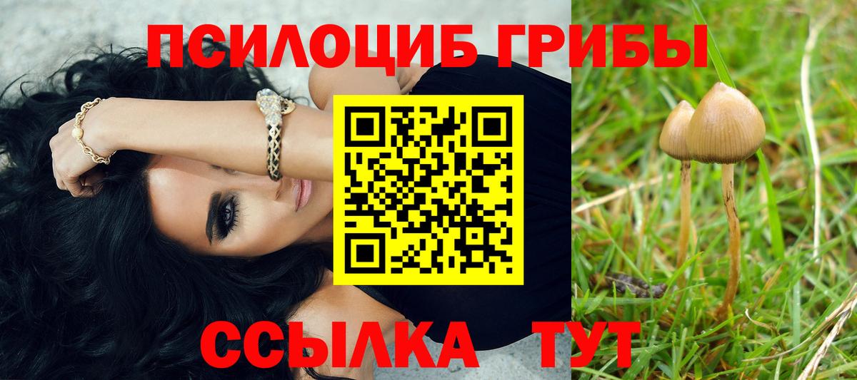 Галлюциногенные грибы прущие грибы Ковров